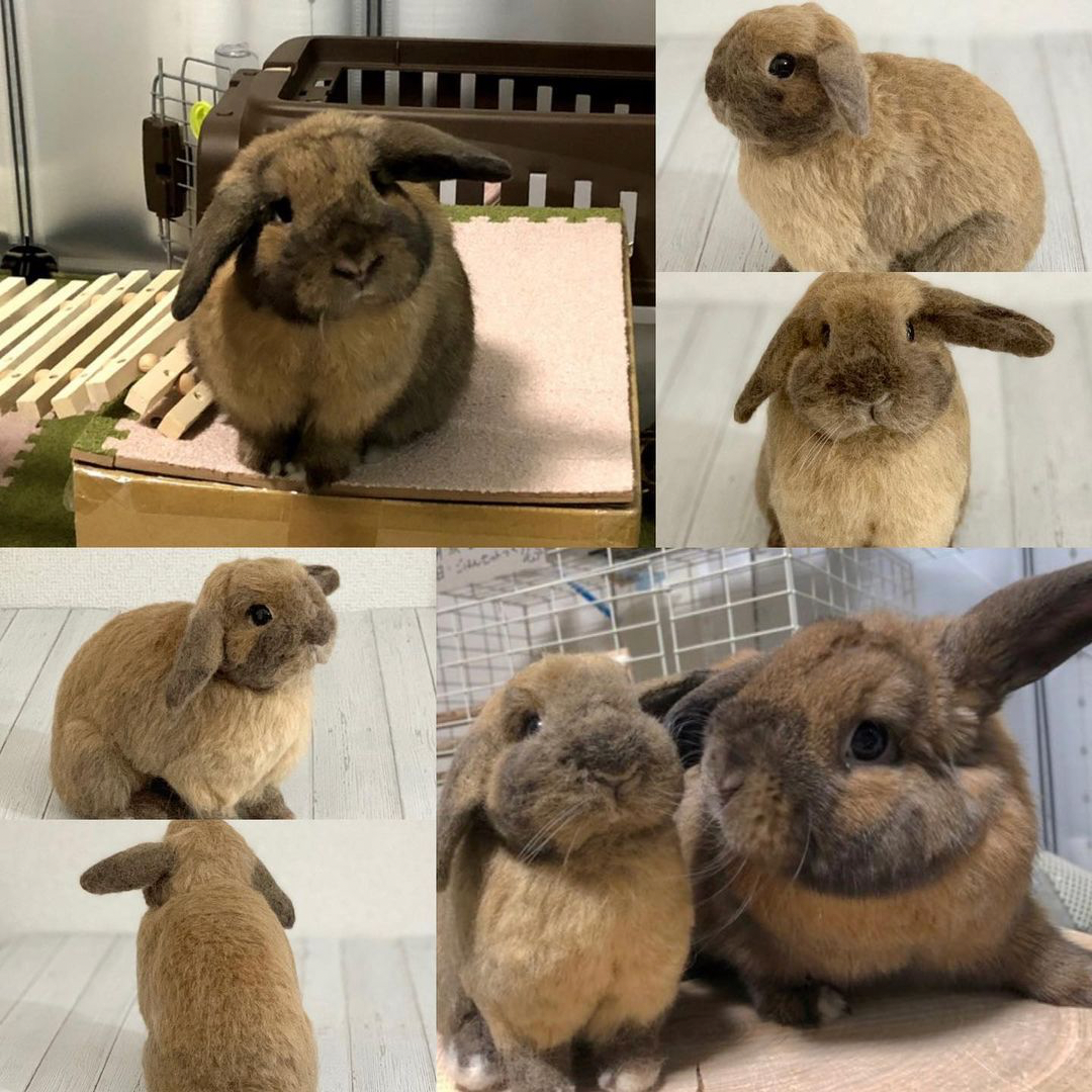【M】Custom Needle Felted Rabbit, Custom Felt Rabbit, Pet Portrait, Needle Felted Animals, Pet Memorial, Rabbit Lover Gift