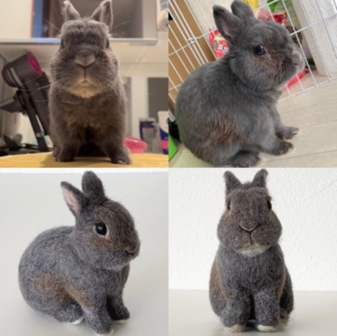 【SS】Custom Needle Felted Rabbit, Custom Felt Rabbit, Pet Portrait, Needle Felted Animals, Pet Memorial, Rabbit Lover Gift