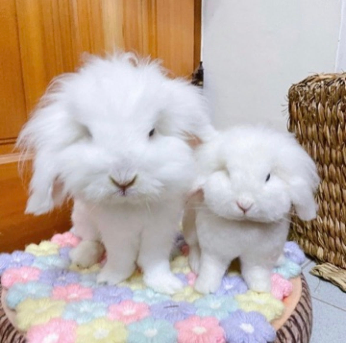 【L】Custom Needle Felted Rabbit, Custom Felt Rabbit, Pet Portrait, Needle Felted Animals, Pet Memorial, Rabbit Lover Gift