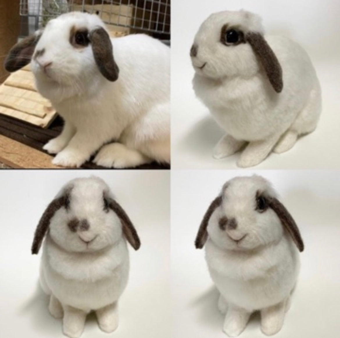 【LL】Custom Needle Felted Rabbit, Custom Felt Rabbit, Pet Portrait, Needle Felted Animals, Pet Memorial, Rabbit Lover Gift