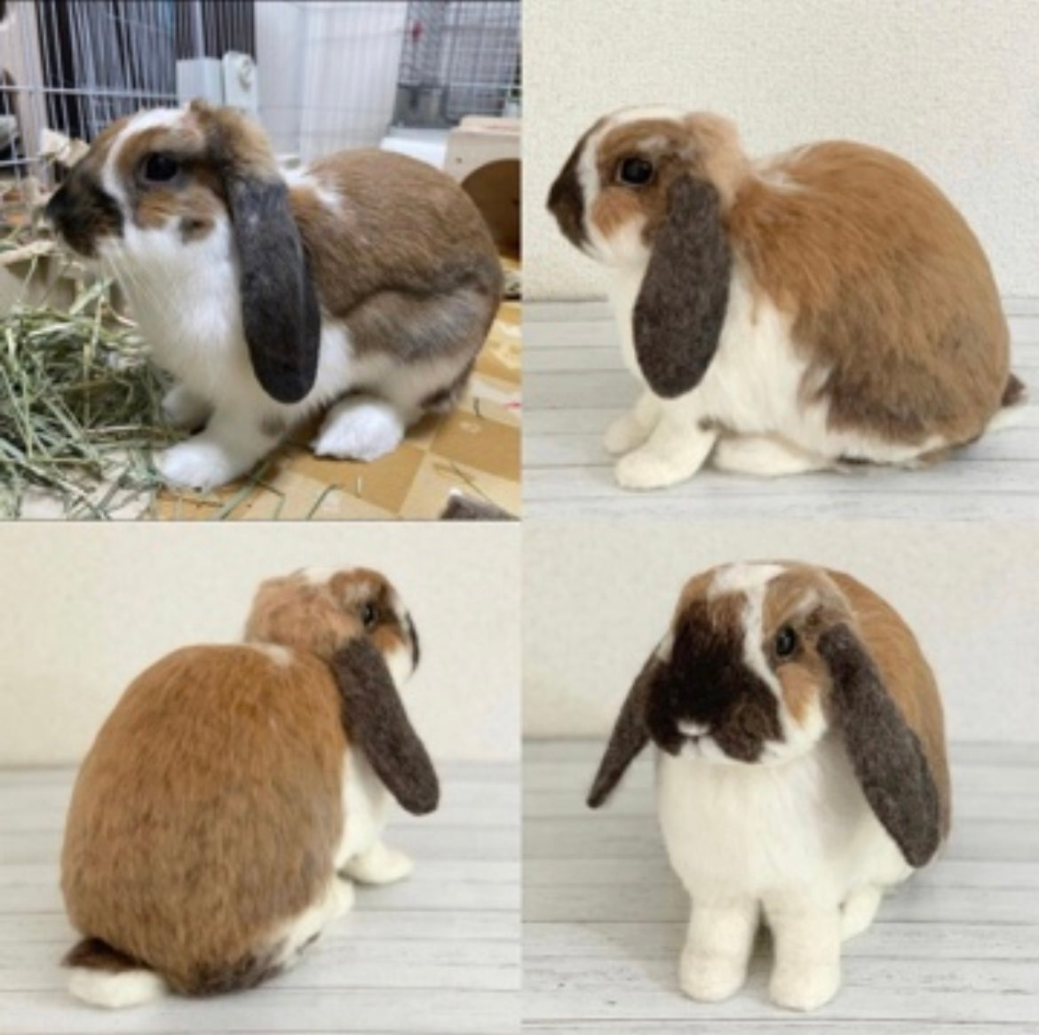 【XL】Custom Needle Felted Rabbit, Custom Felt Rabbit, Pet Portrait, Needle Felted Animals, Pet Memorial, Rabbit Lover Gift