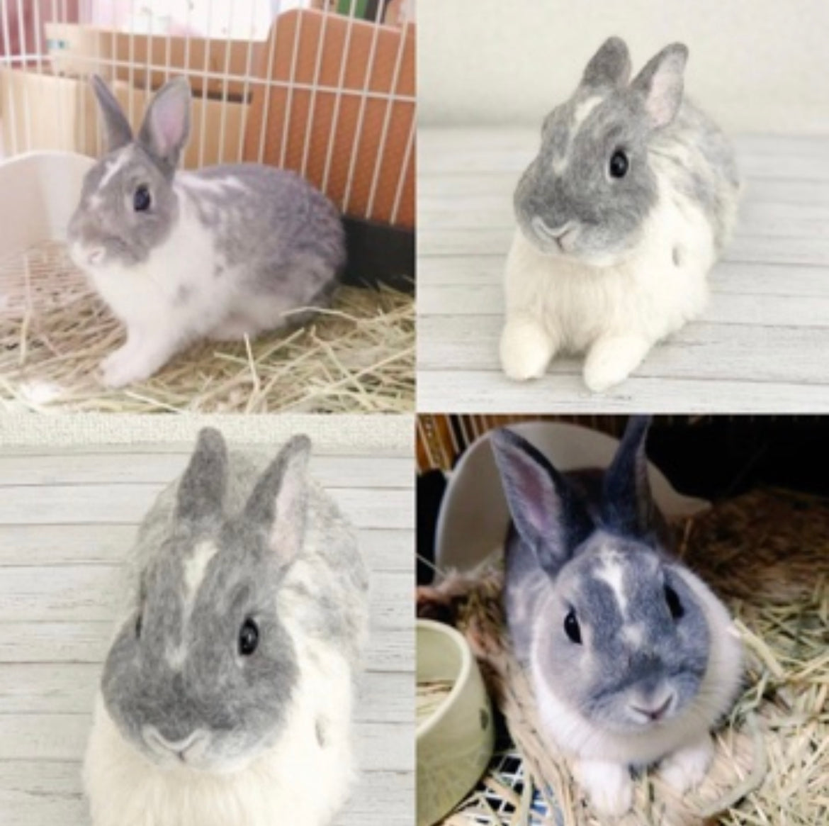 【M】Custom Needle Felted Rabbit, Custom Felt Rabbit, Pet Portrait, Needle Felted Animals, Pet Memorial, Rabbit Lover Gift