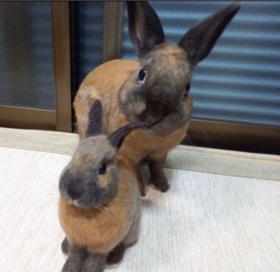 【L】Custom Needle Felted Rabbit, Custom Felt Rabbit, Pet Portrait, Needle Felted Animals, Pet Memorial, Rabbit Lover Gift