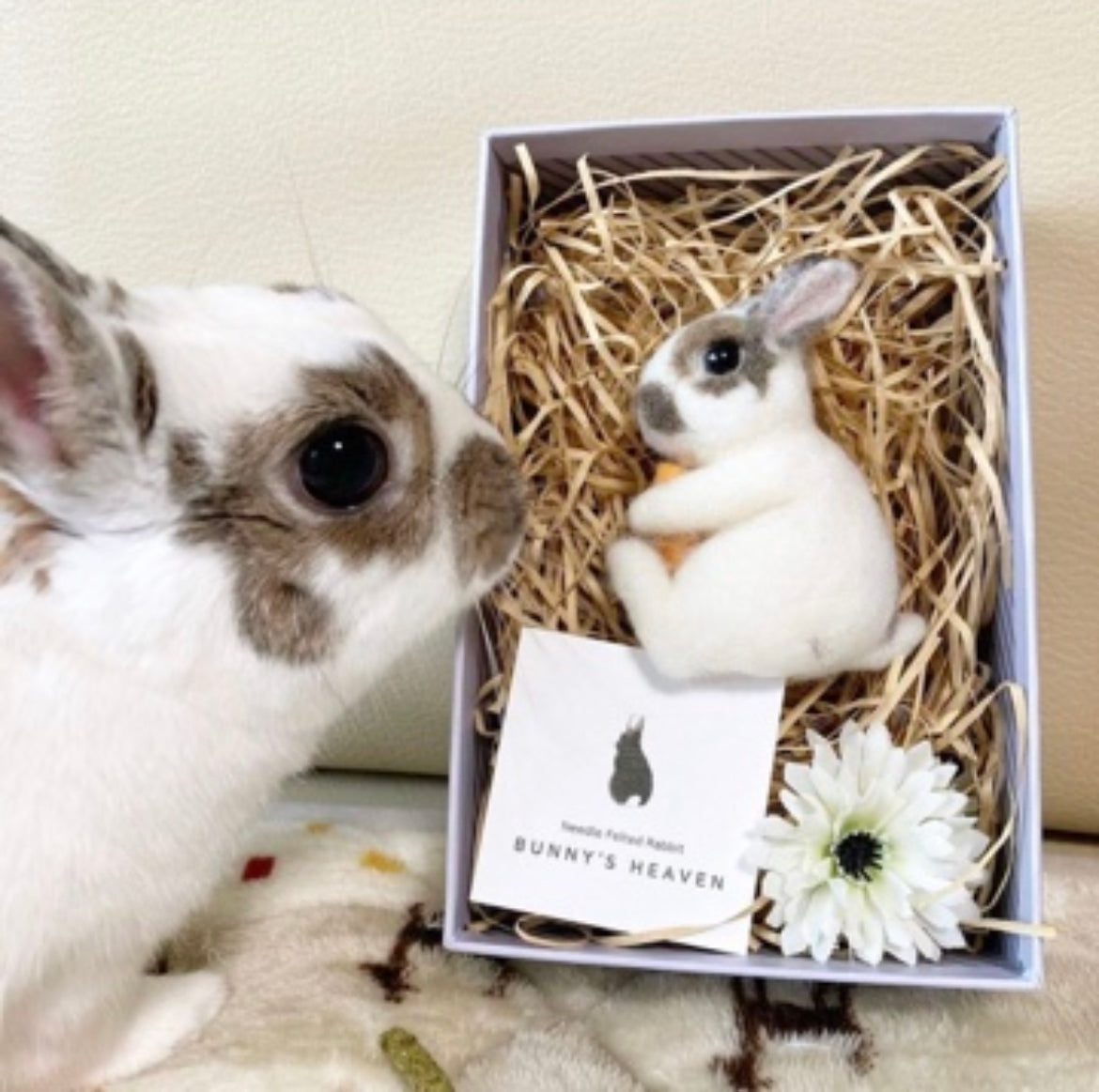 【SS】Custom Needle Felted Rabbit, Custom Felt Rabbit, Pet Portrait, Needle Felted Animals, Pet Memorial, Rabbit Lover Gift