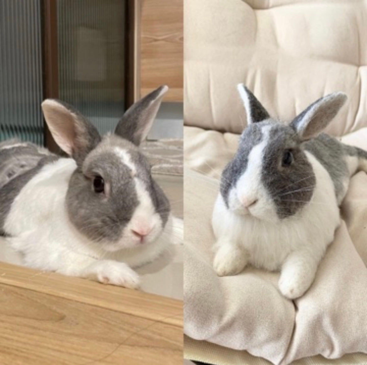 【XL】Custom Needle Felted Rabbit, Custom Felt Rabbit, Pet Portrait, Needle Felted Animals, Pet Memorial, Rabbit Lover Gift