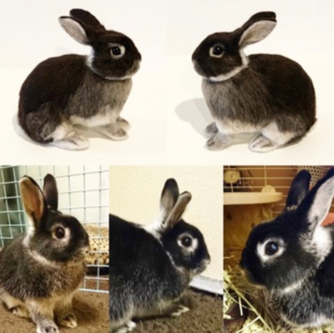 【LL】Custom Needle Felted Rabbit, Custom Felt Rabbit, Pet Portrait, Needle Felted Animals, Pet Memorial, Rabbit Lover Gift