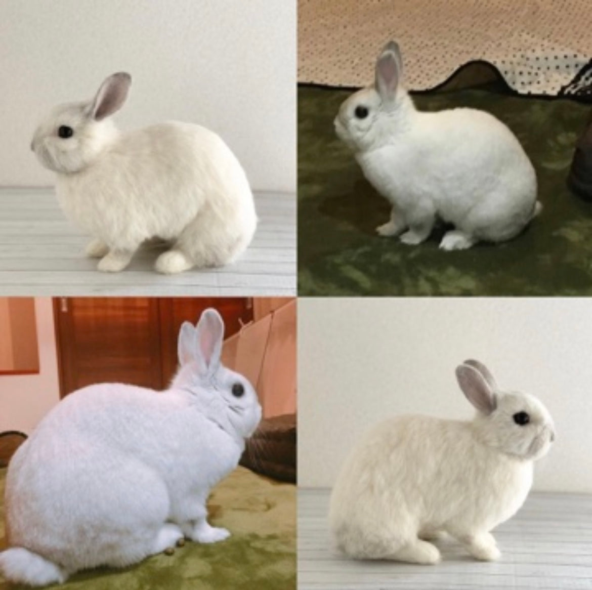 【LL】Custom Needle Felted Rabbit, Custom Felt Rabbit, Pet Portrait, Needle Felted Animals, Pet Memorial, Rabbit Lover Gift