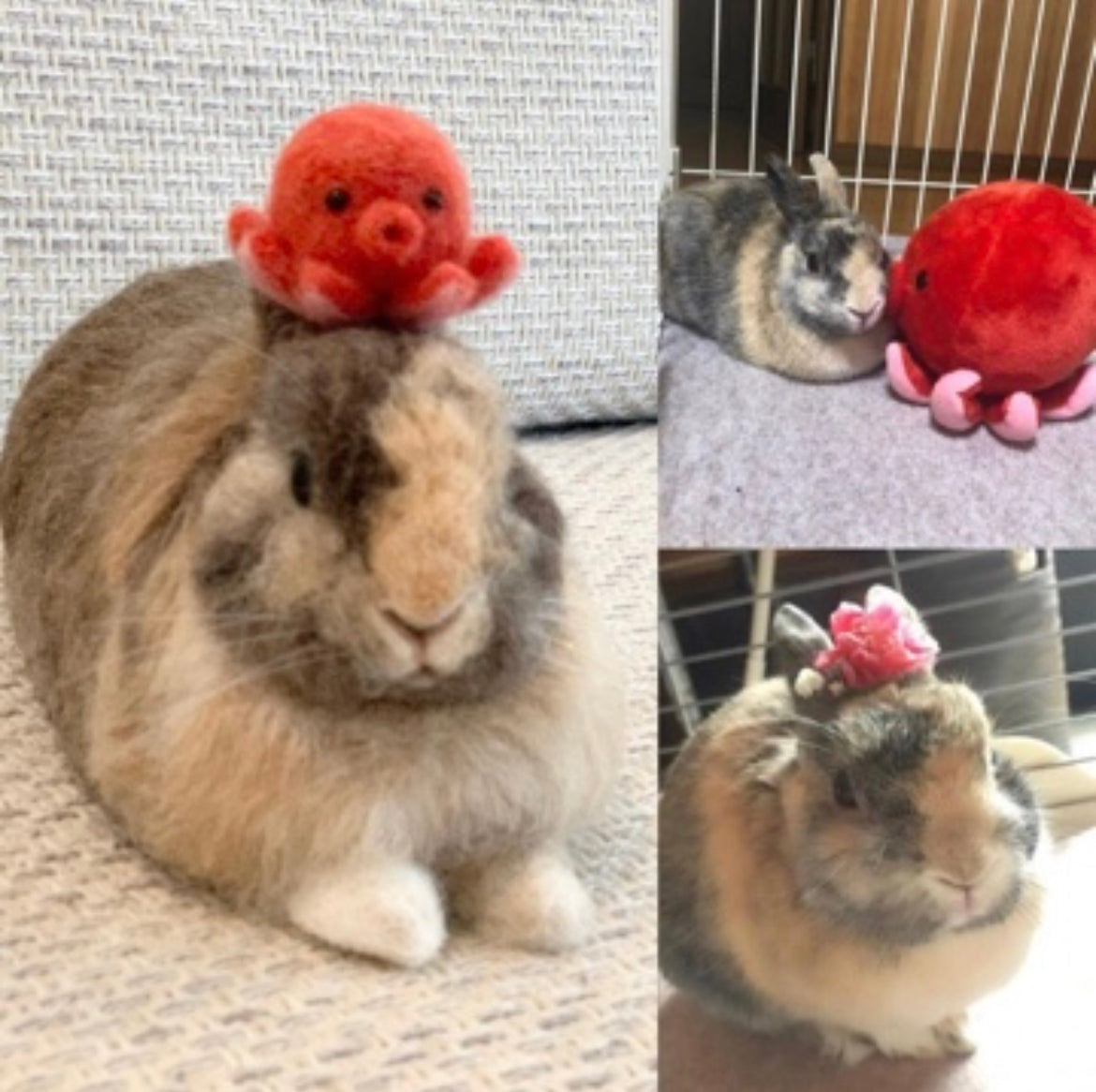 【L】Custom Needle Felted Rabbit, Custom Felt Rabbit, Pet Portrait, Needle Felted Animals, Pet Memorial, Rabbit Lover Gift